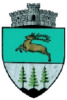 Boroaia_stema-e1644331877772
