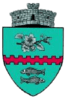 Bunesti_stema