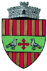 Draguseni_stema