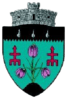 FratautiiNoi_stema