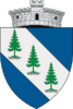 ROU_SV_Dorna-Arini_CoA-removebg-preview-e1644404133218