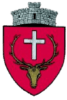 ROU_SV_Dorna_Candrenilor_CoA-removebg-preview-e1644404715381