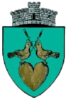 ROU_SV_Forasti_CoA-removebg-preview-e1644406927200