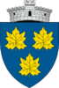 ROU_SV_Paltinoasa_CoA-e1644586239939