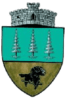 ROU_SV_Panaci_CoA-removebg-preview