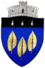 ROU_SV_Ulma_CoA-removebg-preview-e1645019569670