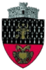 Slatina_stema-e1645009020879