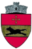 Stulpicani_stema-e1645012890850