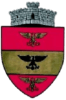 Vulturesti_stema-e1645023897913
