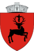 ROU_SV_Baia_CoA-removebg-preview-e1644329918621.png